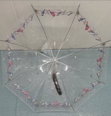 TUV Automatic Open Clear POE Kids ร่มขนาดกะทัดรัด 100cm