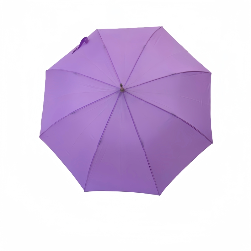 อยู่ที่แห้ง 23 นิ้วตรงไม้จับร่ม Brolly กับ 8 ริบ
